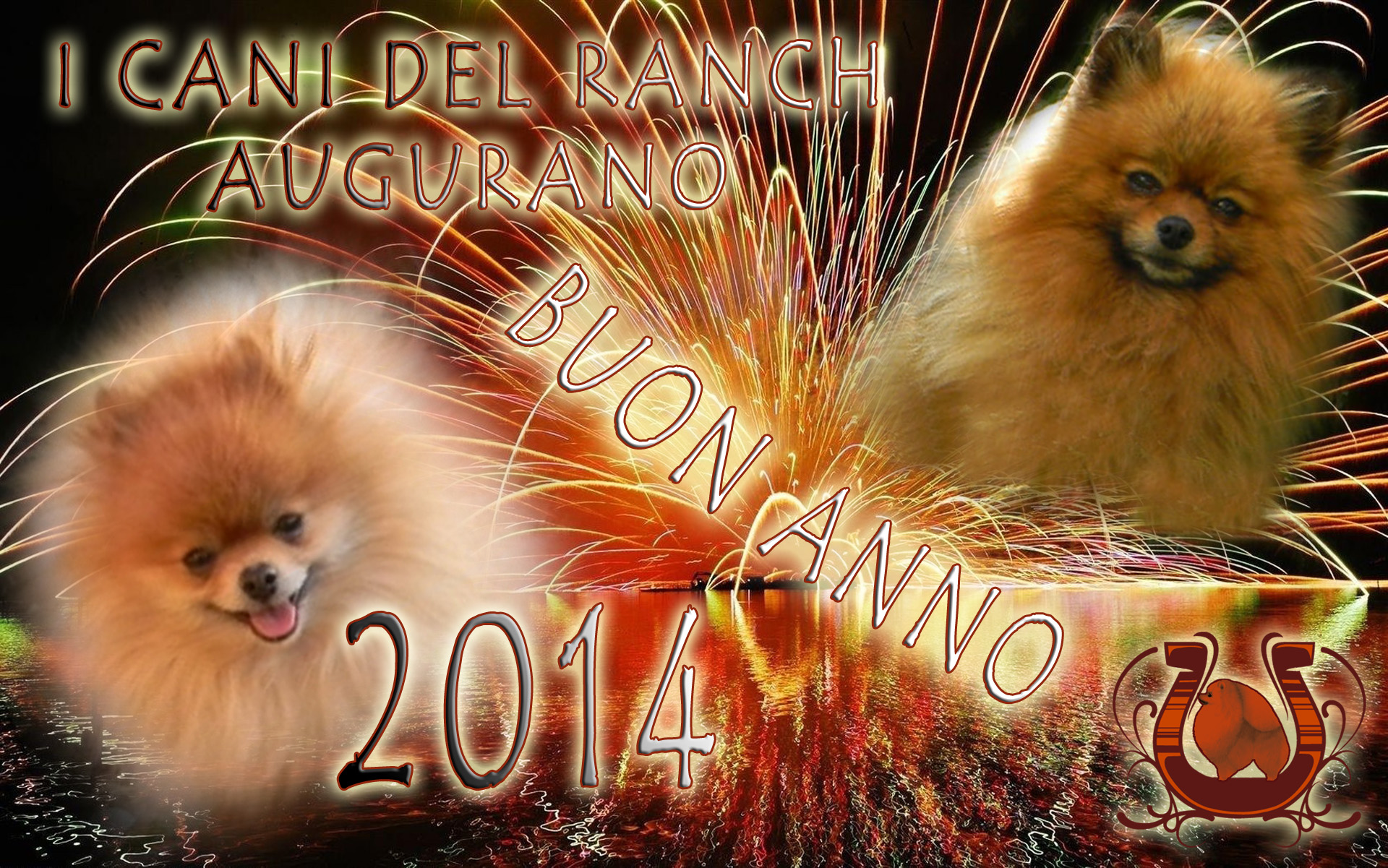 Auguri per il 2014, I cani del Ranch, Spitz Tedesco Nano